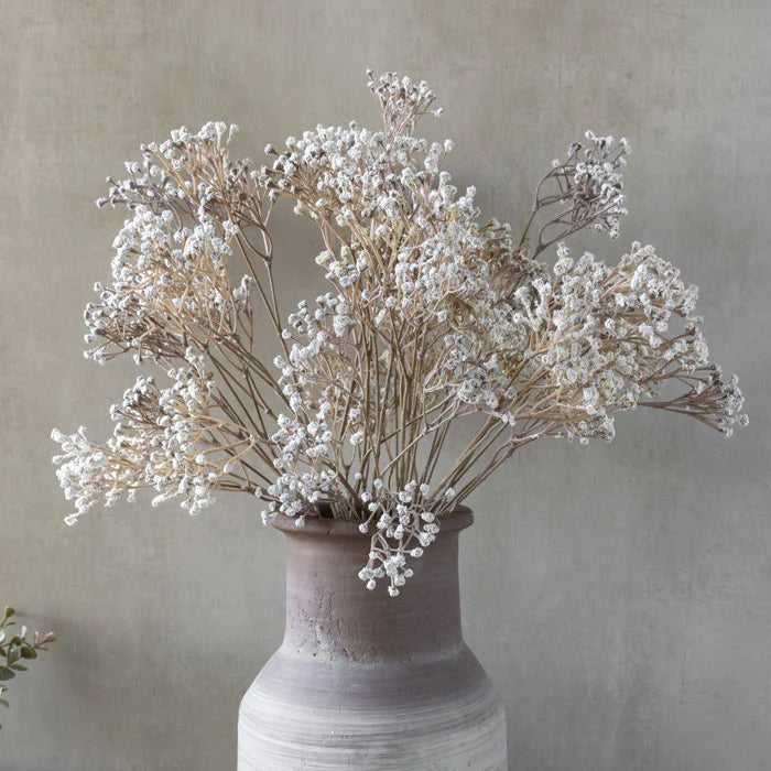 Gypsophila Stem (Babies Breath)