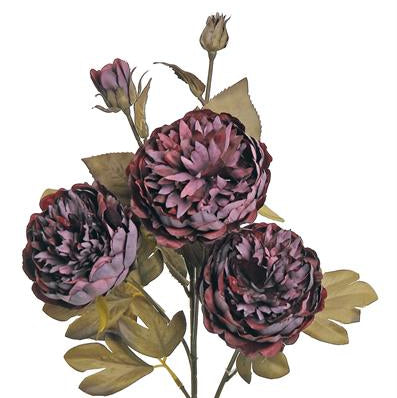 HARVEST PEONY X3 WITH 2 BUDS, 26", PLUM