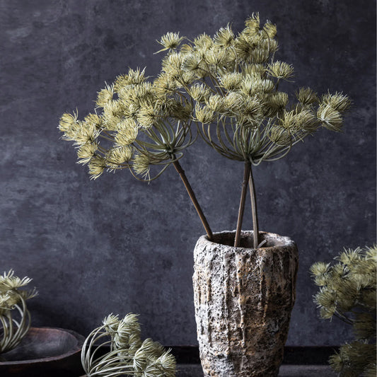 Haze Angelica Stem 31" - Single Stem Artificial Greenery