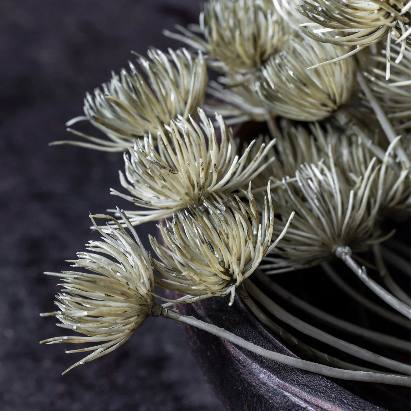 Haze Angelica Stem 31" - Single Stem Artificial Greenery