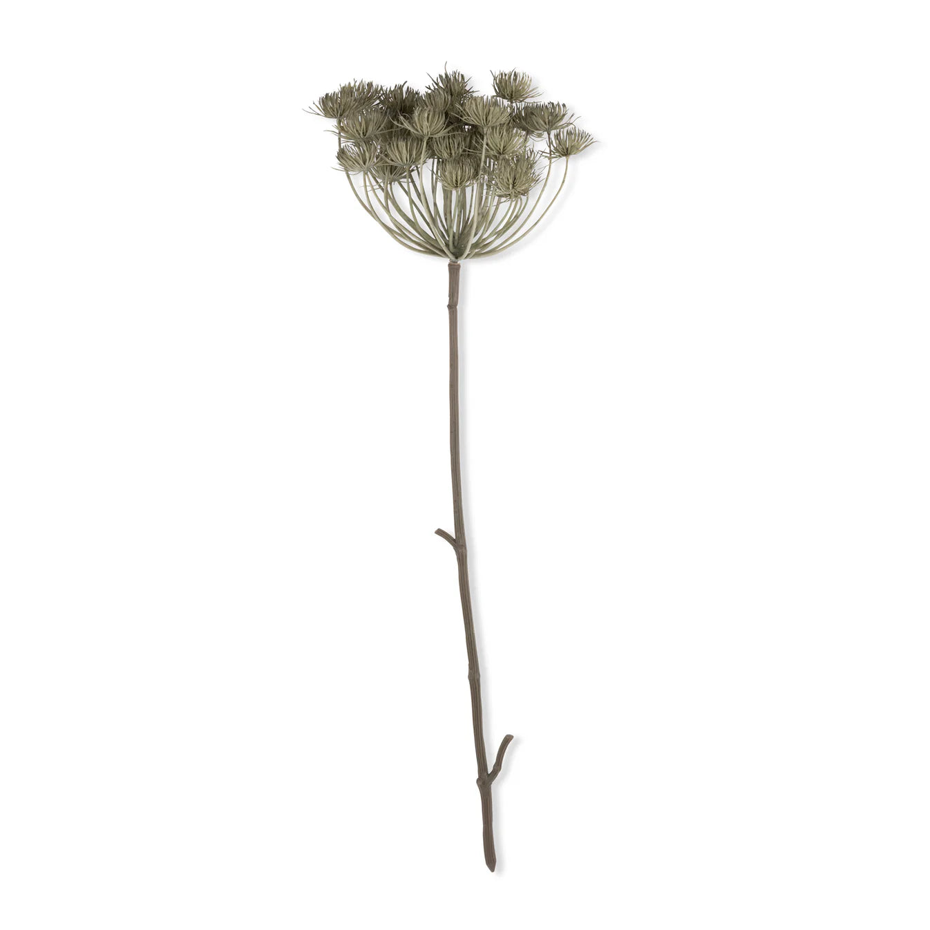 Haze Angelica Stem 31" - Single Stem Artificial Greenery