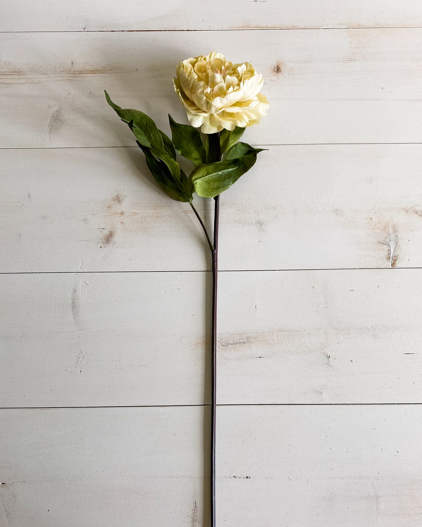 32" Yellow Peony