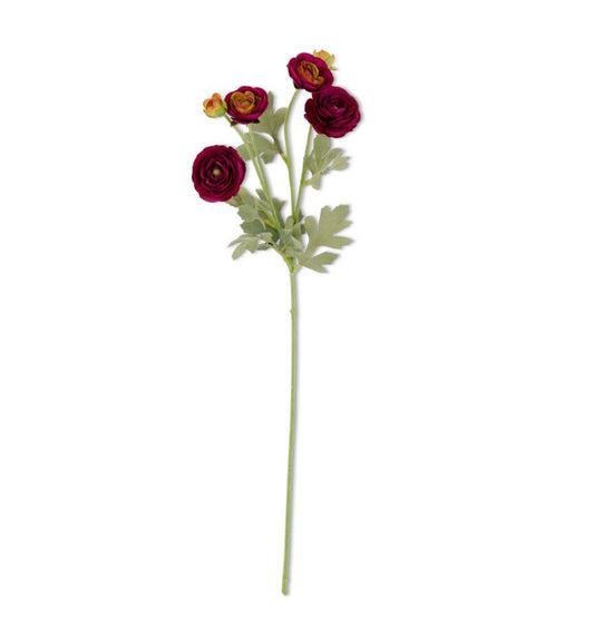 Burgundy Ranunculus Spray 26"