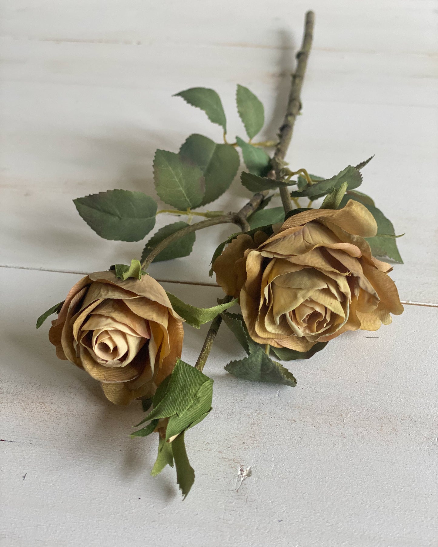 Harvest Gold Rose Stem