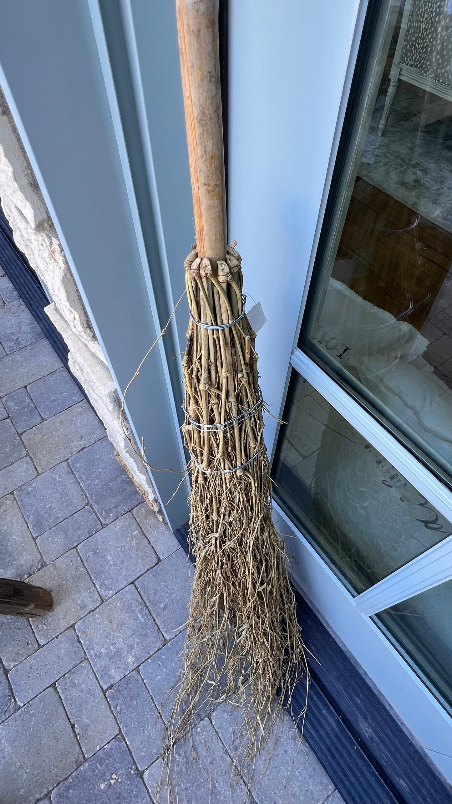 Witches Broom