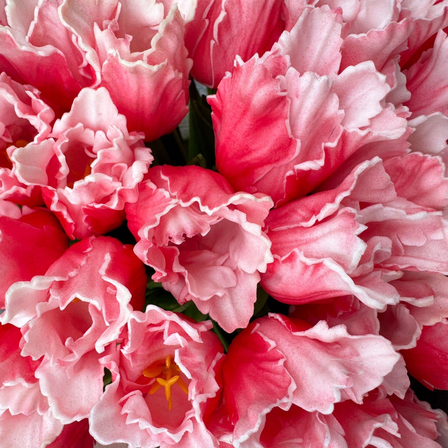 Rose Real Touch Parrot Tulip Bundle 13" - 12 Stems Artificial Flower