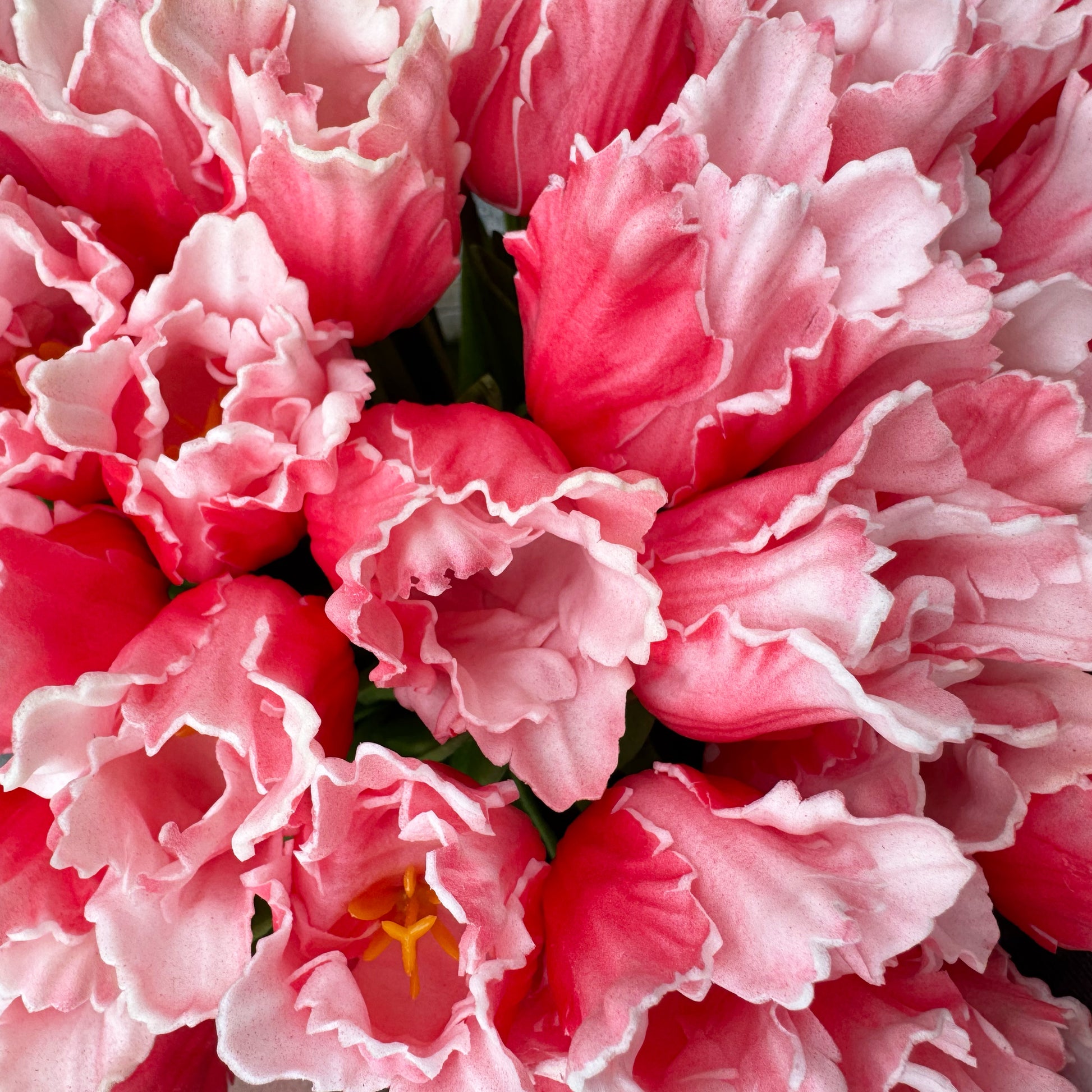 Rose Real Touch Parrot Tulip Bundle 13" - 12 Stems Artificial Flower