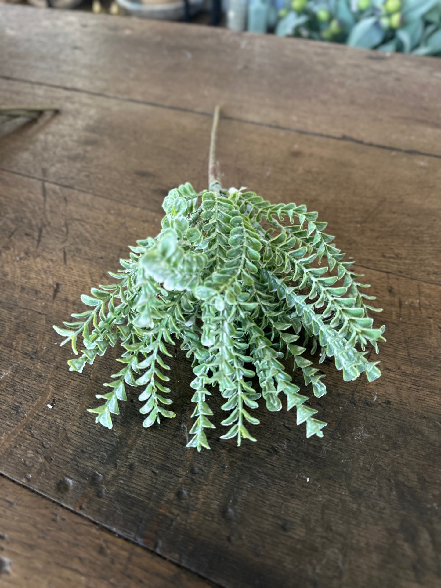 17" Green Clubmosses Spray