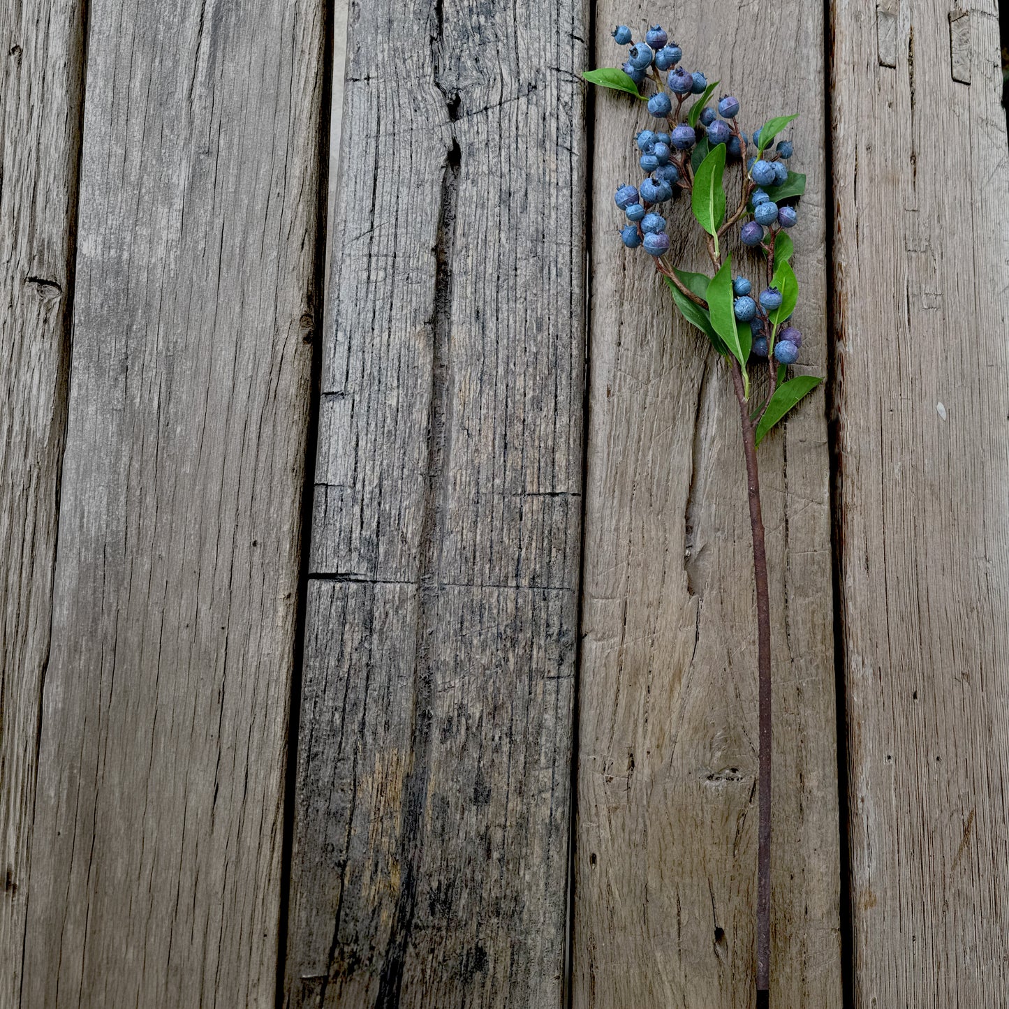 Artificial Blueberry Pick 21 Inch - Faux Berry Stem for Floral Arrangements