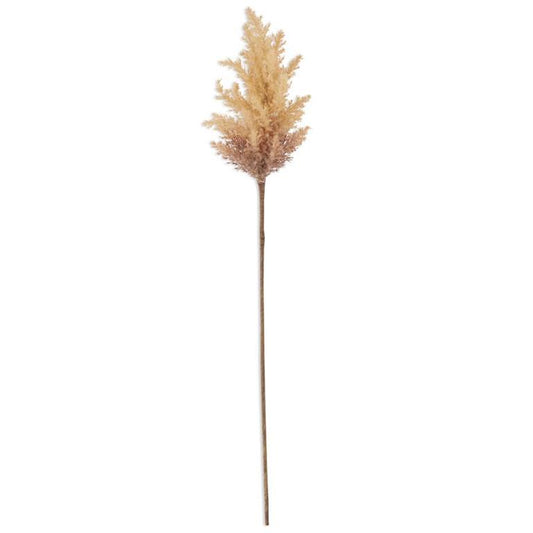 Light Brown & Peach Pampas Grass 35" - Single Stem Artificial Greenery