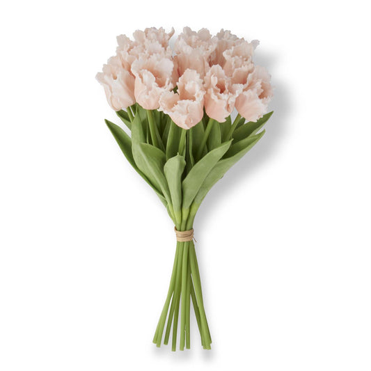 Bouquet of light peach tulips with green stems on a white background