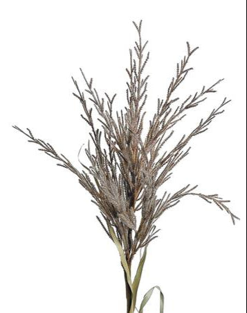 MOP GRASS SPRAY, 39", BROWN