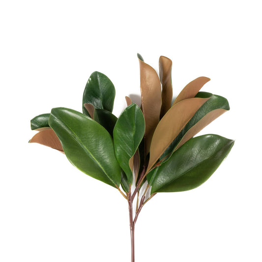 Magnolia_Leaf_Spray