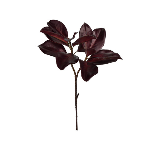 Marlot_Magnolia_Leaf_Spray