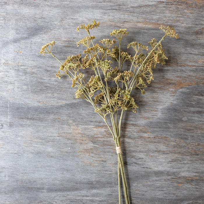 21.5" Meadow Sedge Stem - Natural