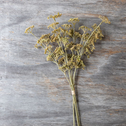 21.5" Meadow Sedge Stem - Natural