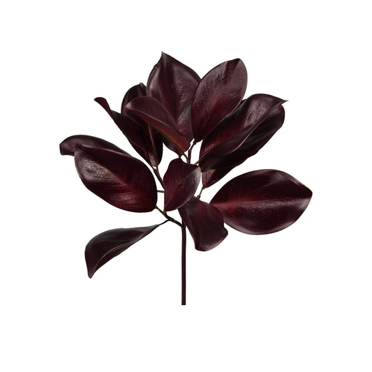 Merlot_Magnolia_Spray