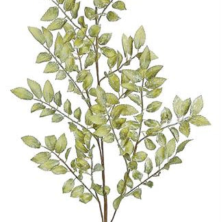 A 36-inch olive-colored Autumn Ruscus Leaf Branch with lifelike leaves, intended for use in floral arrangements or as a decorative piece.