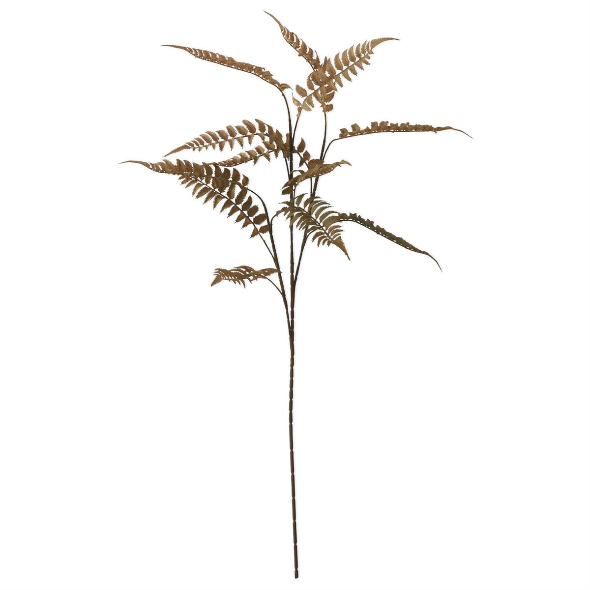 Olive_Green_Fern_Spray