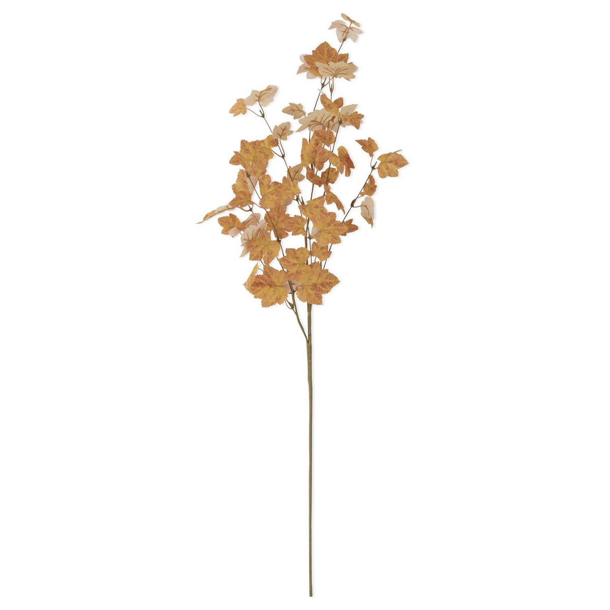 Orange_Maple_Leaf_Stem