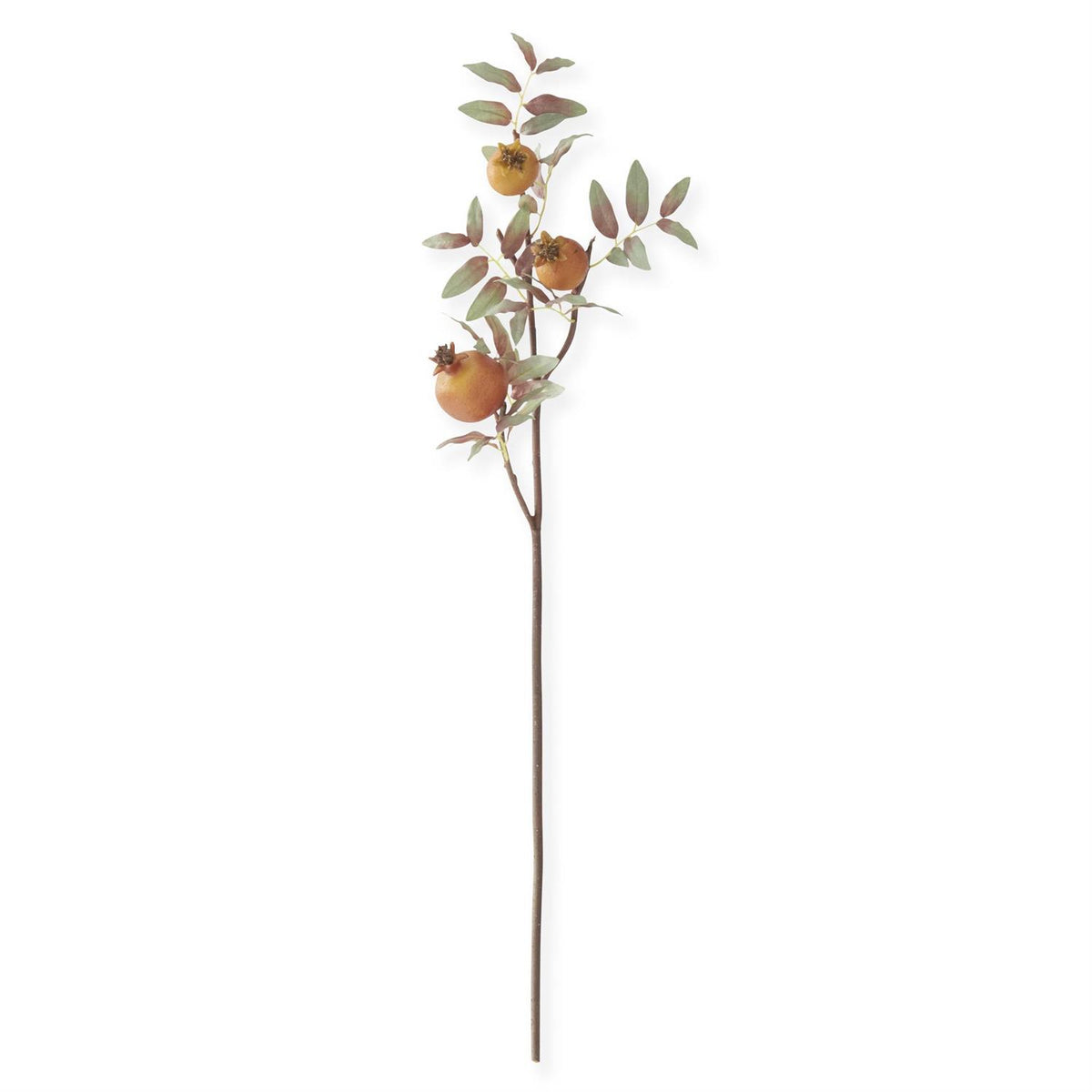 Orange_Pomegranate_Stem