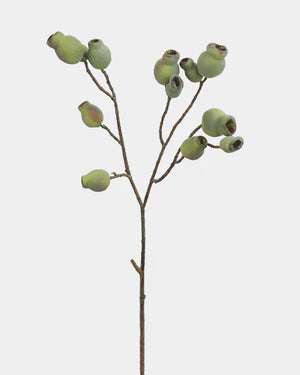 Artificial Eucalyptus Pods 24.5"