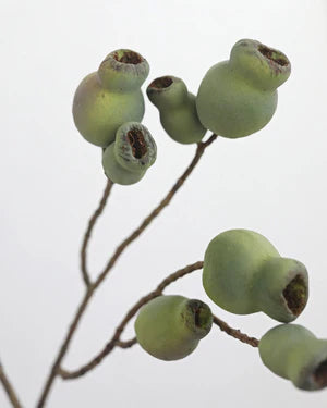 Artificial Eucalyptus Pods 24.5"