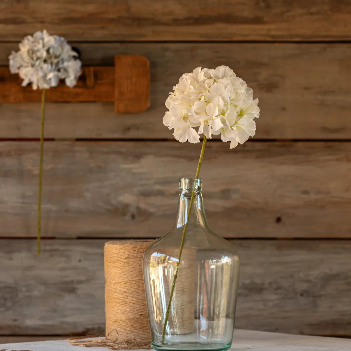 Hydrangea Stem in White