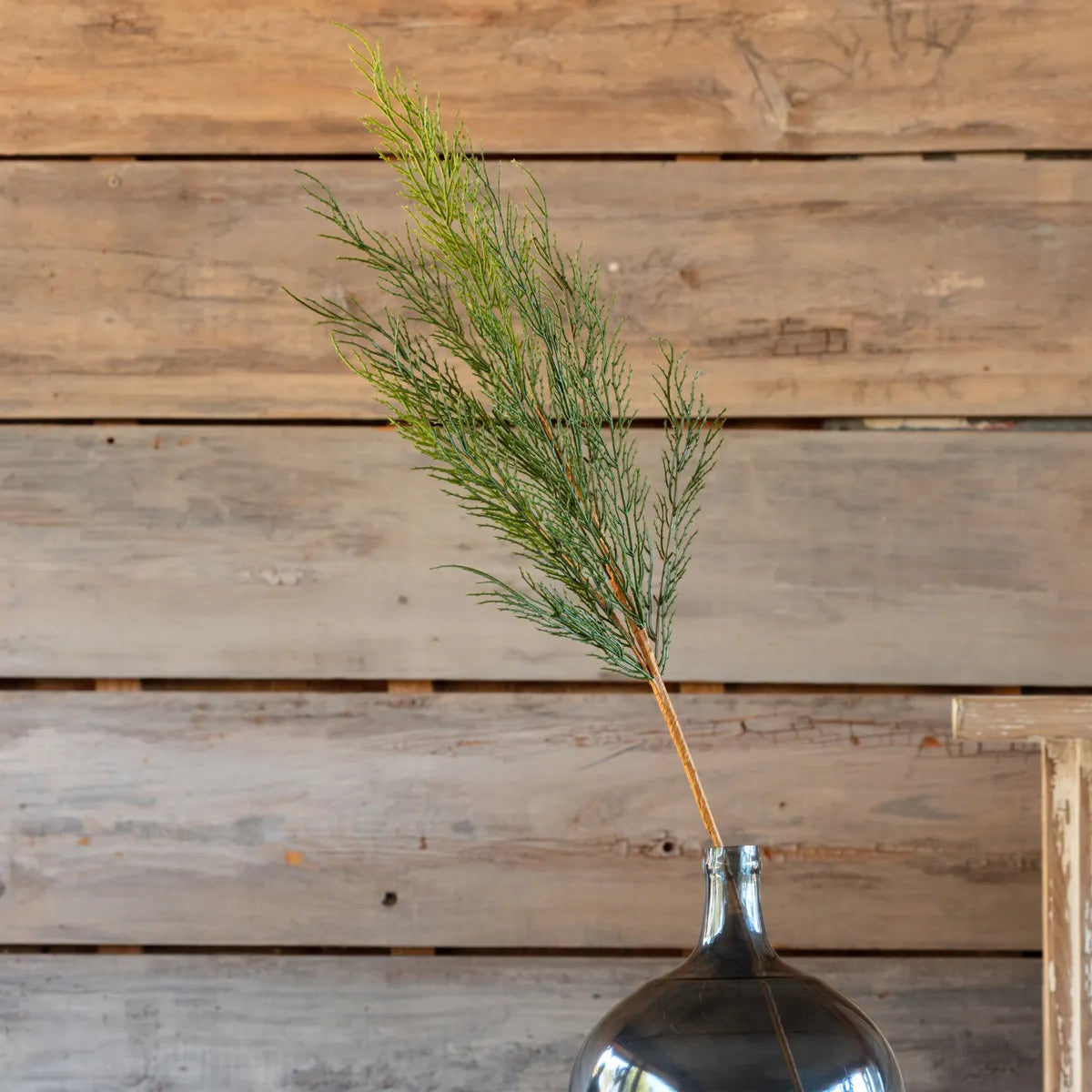 NATIVE CEDAR STEM