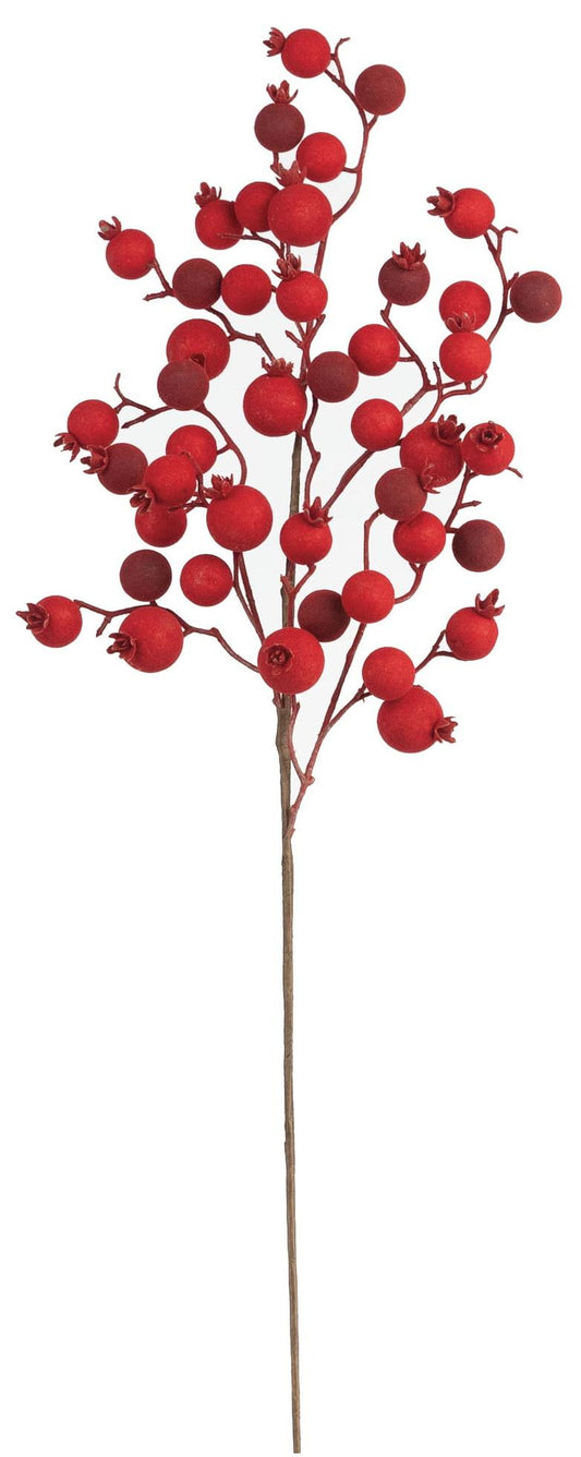 ROSEHIP BERRY SPRAY, 29", RED