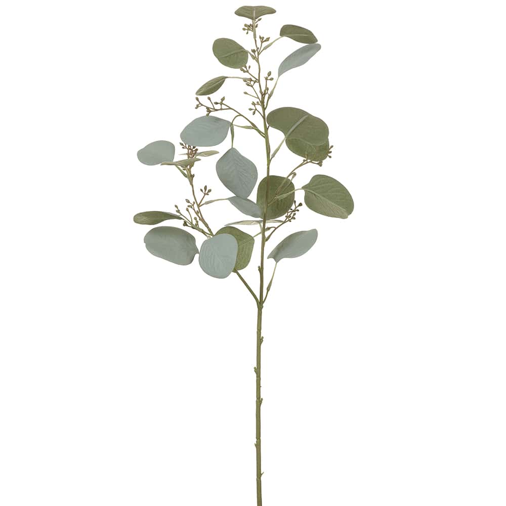 Artificial eucalyptus branch on a white background