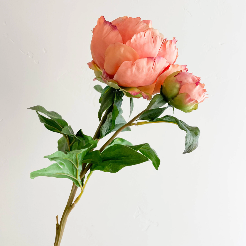 Peach Peony with Bud Stem 27" - Artificial Flower Stem