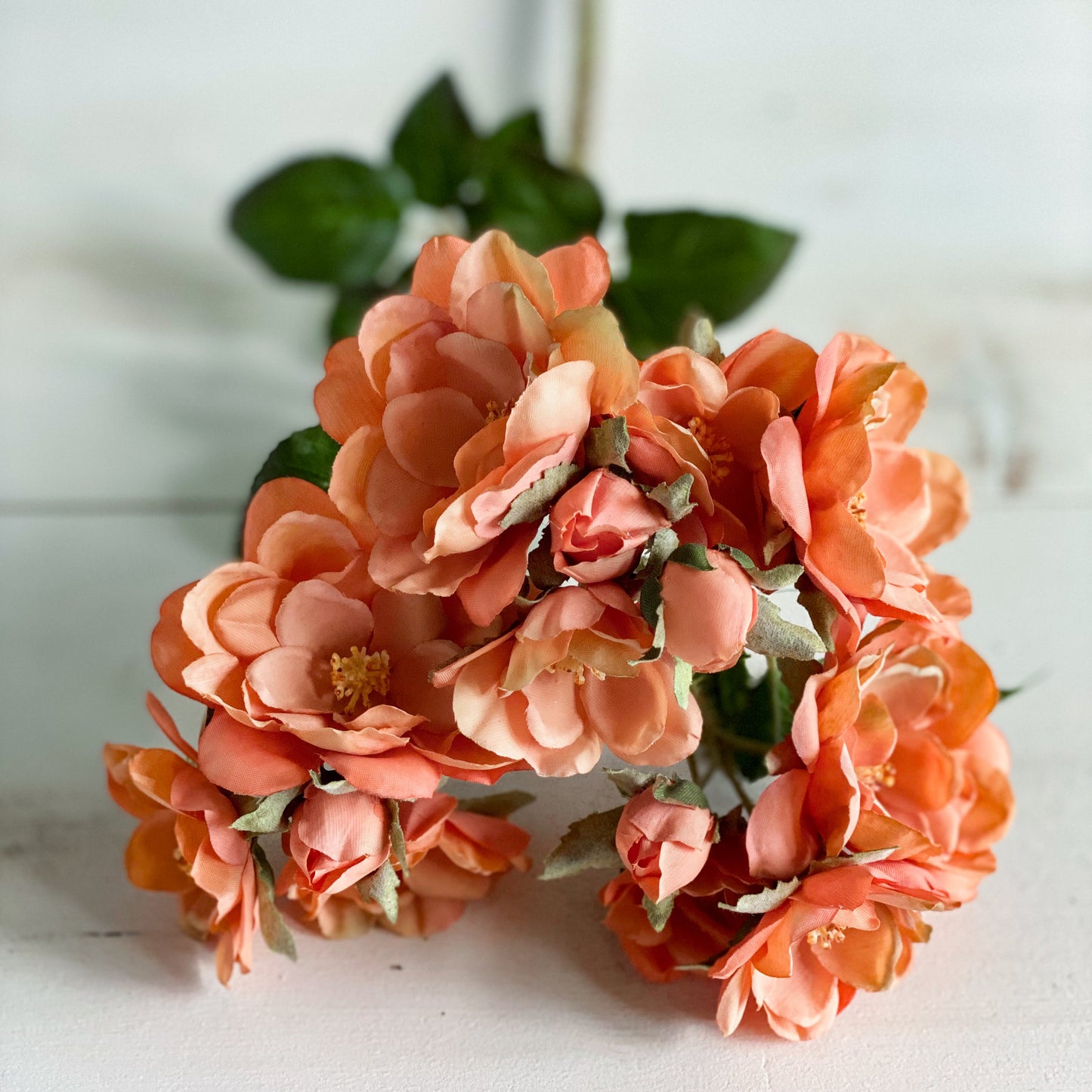 Peach Rose Stem