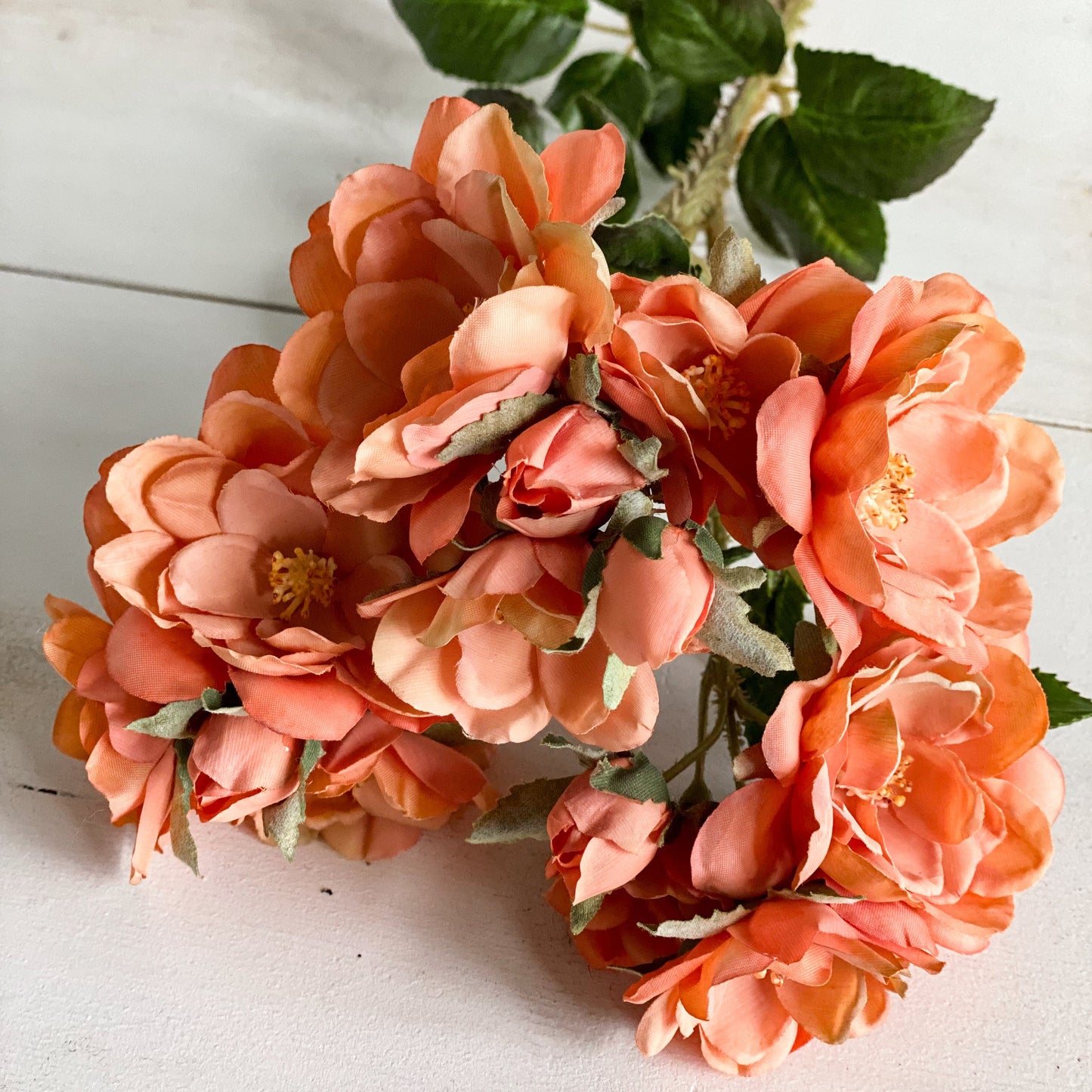 Peach Rose Stem