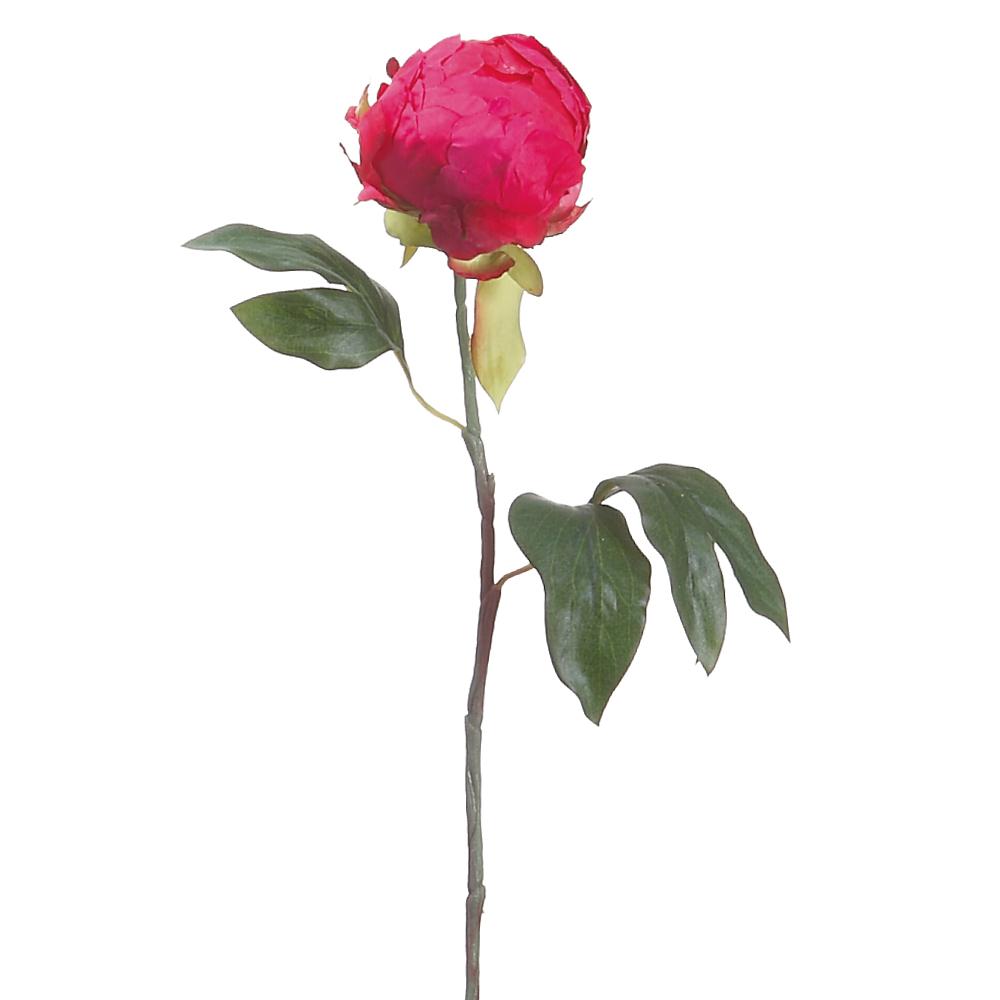 An artificial 18-inch peony bud spray in fuschia color with green leaves, representing a single flower stem.