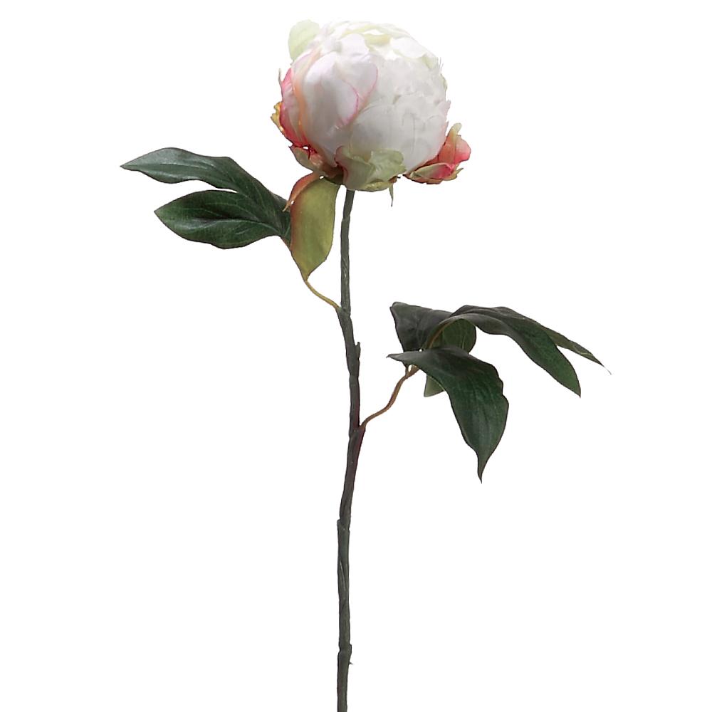 An artificial 18-inch peony bud spray in cream color with green leaves, representing a single flower stem.