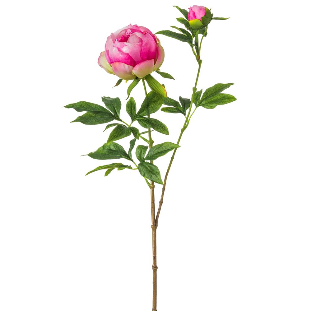 A single stem of a peony spray with a realistic appearance, featuring green leaves and a fuchsia flower, against a white background.