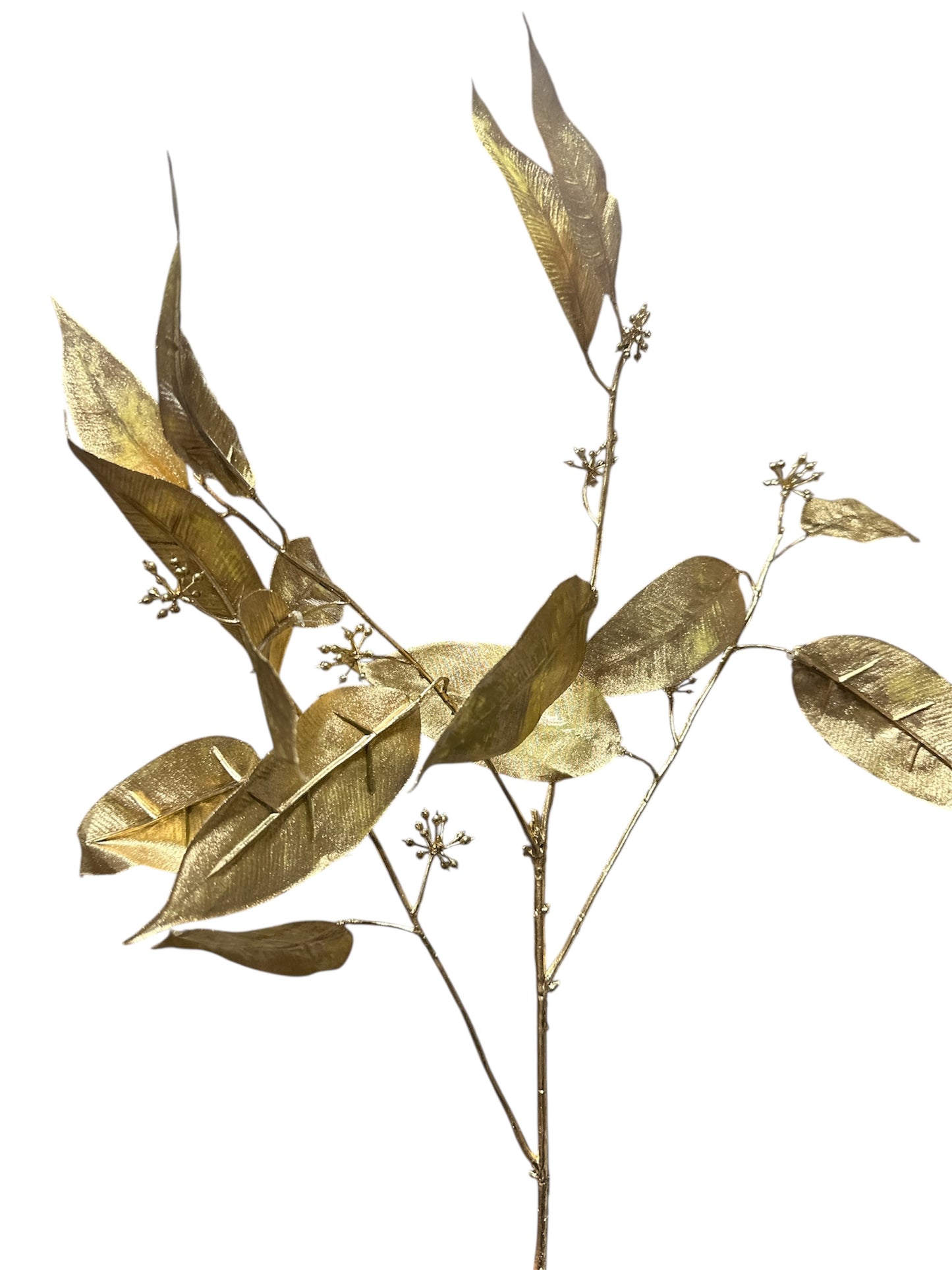 34" Gold Seeded Eucalyptus Spray