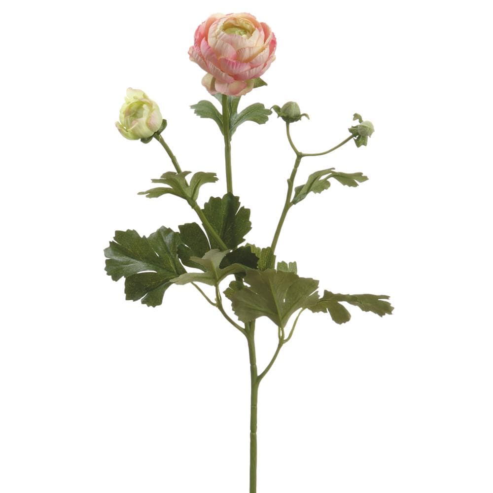 Pink Ranunculus Fake 22