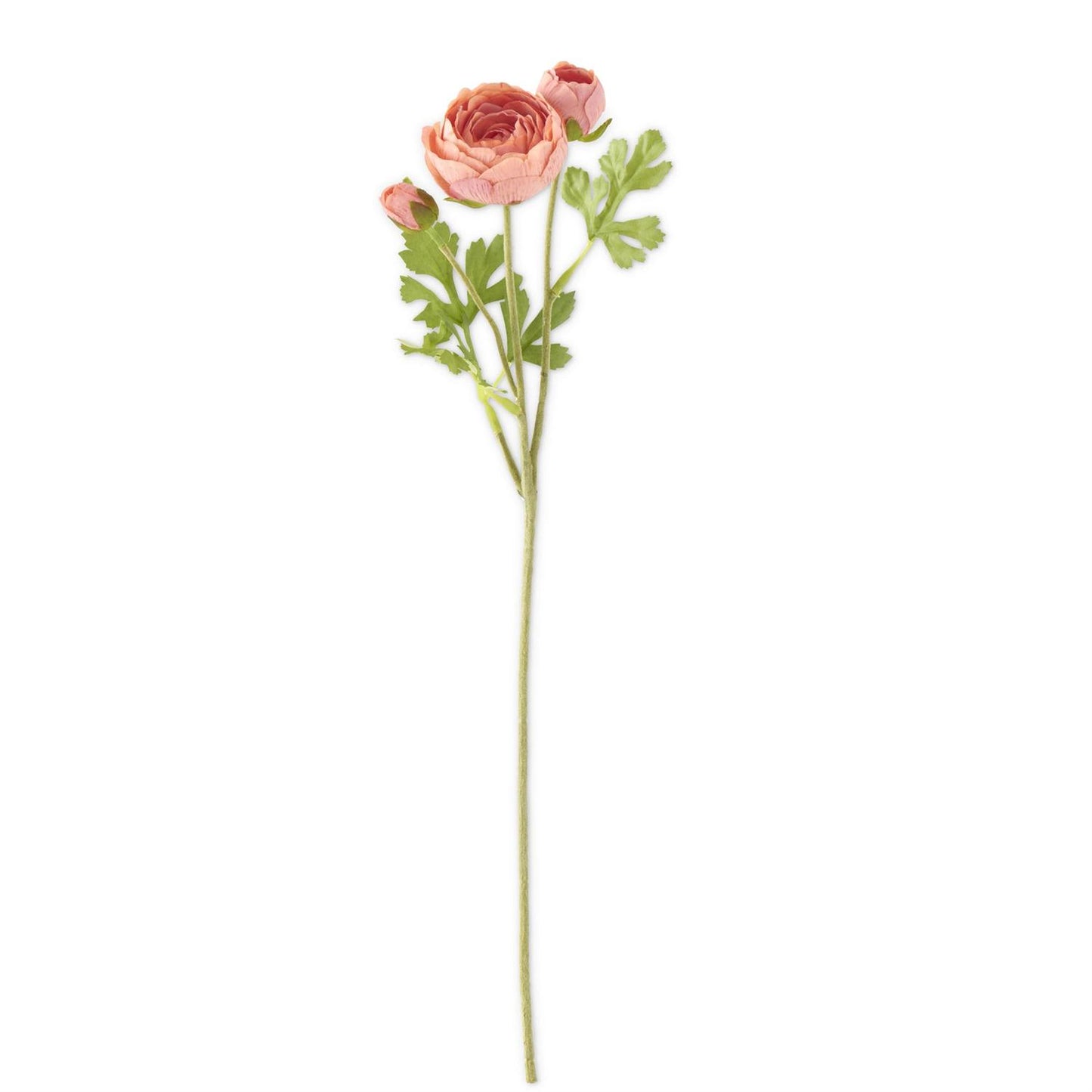 Artificial coral ranunculus stem