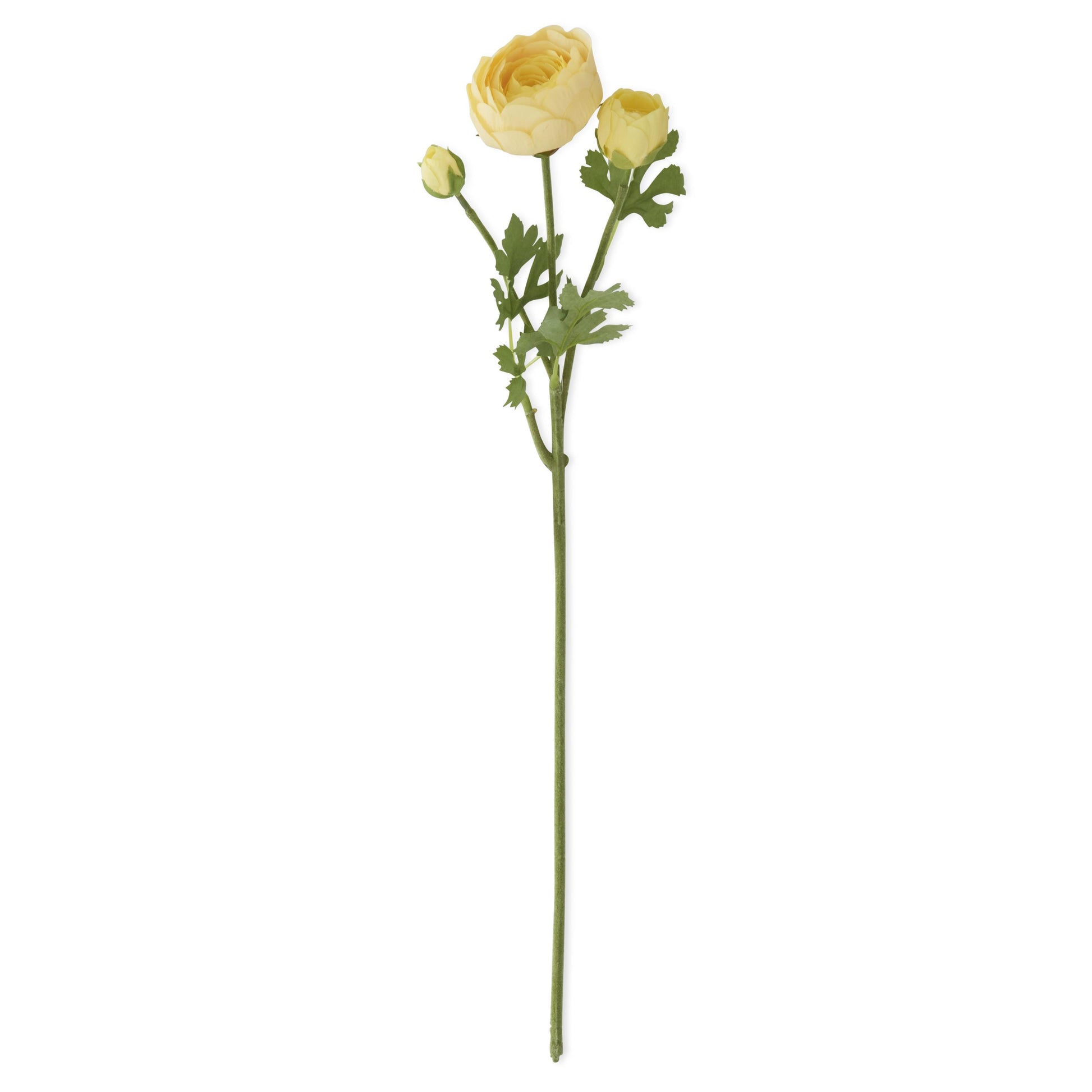 Artificial yellow ranunculus stem