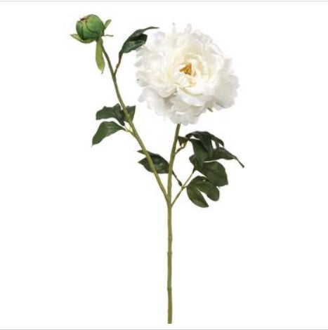 31" Peony Spray - White