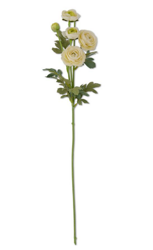 White Ranunculus Spray