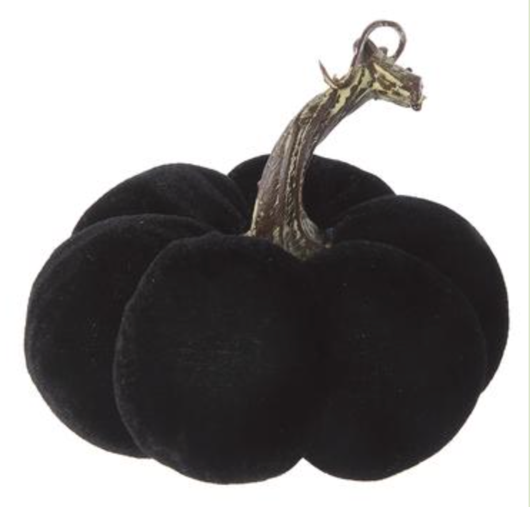 Black Velvet Pumpkin Small