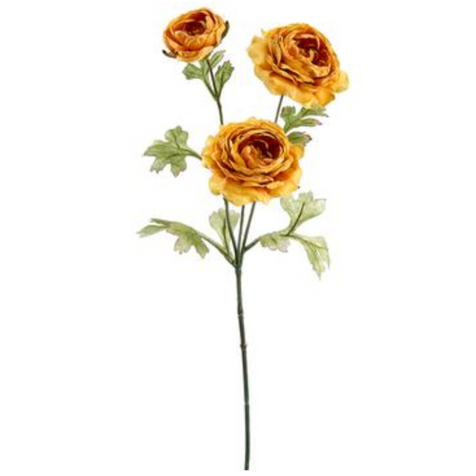 Gold Ranunculus Spray