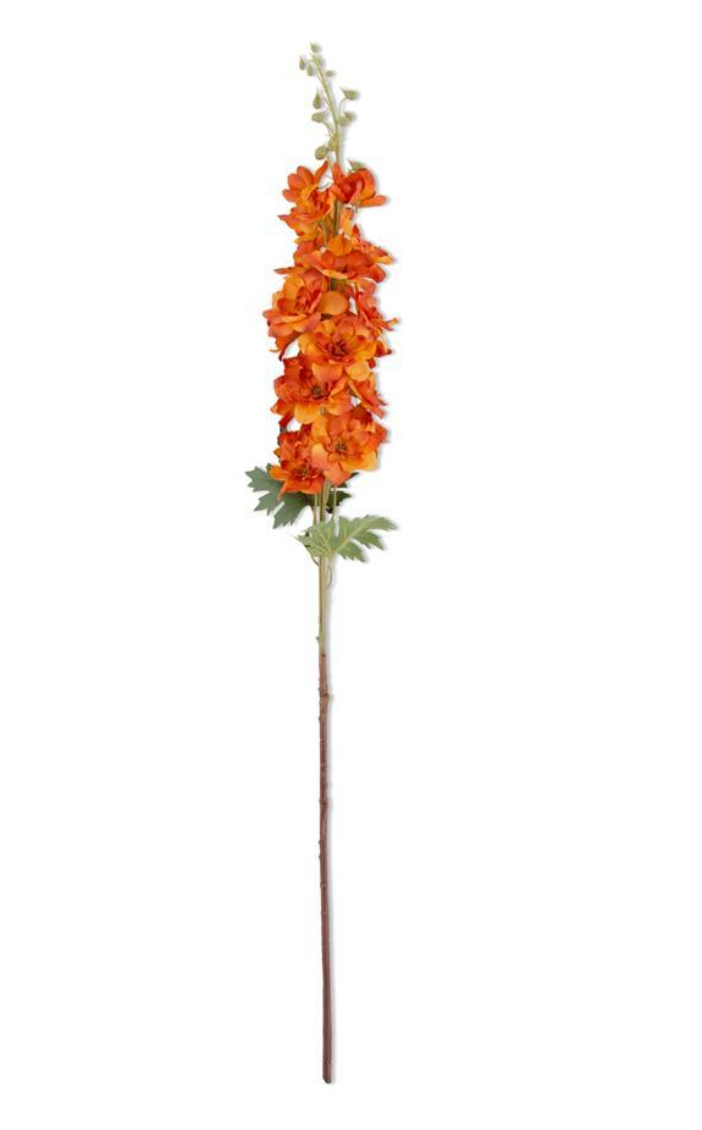 Orange Delphinium Stem