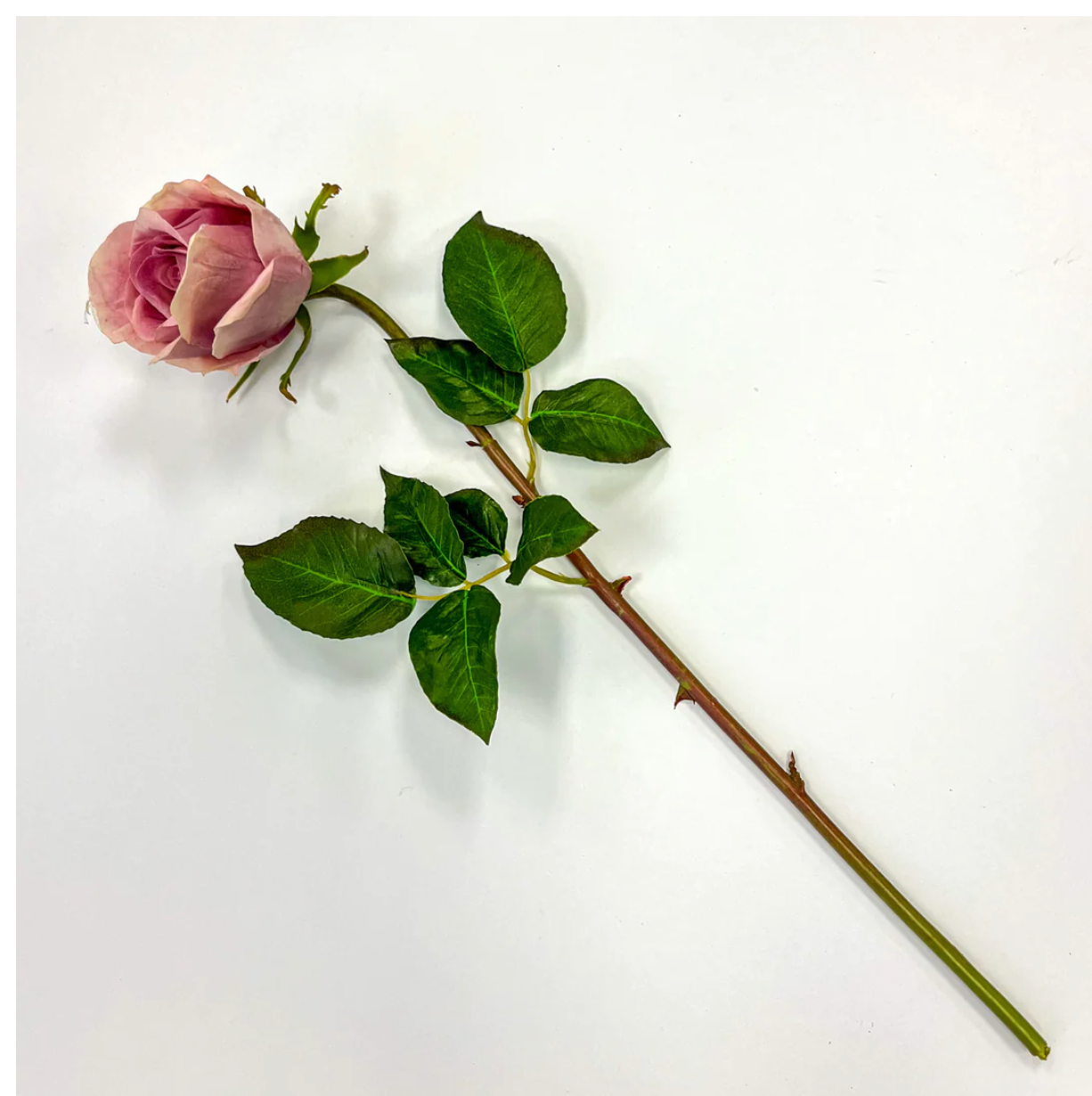 30" Peachy Pink Rose Stem