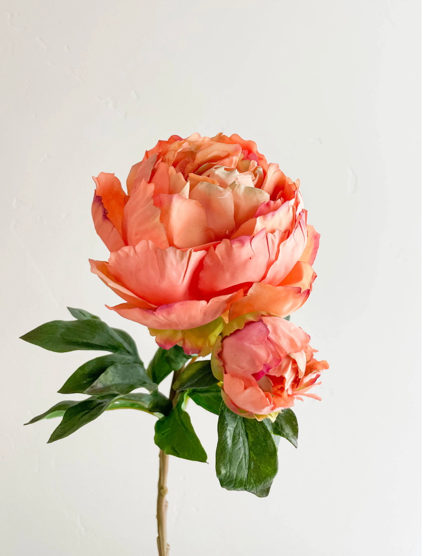 27 INCH PEONY WITH BUD STEM IN PEACH