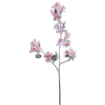 Snow_Quince_Blossom_Pink