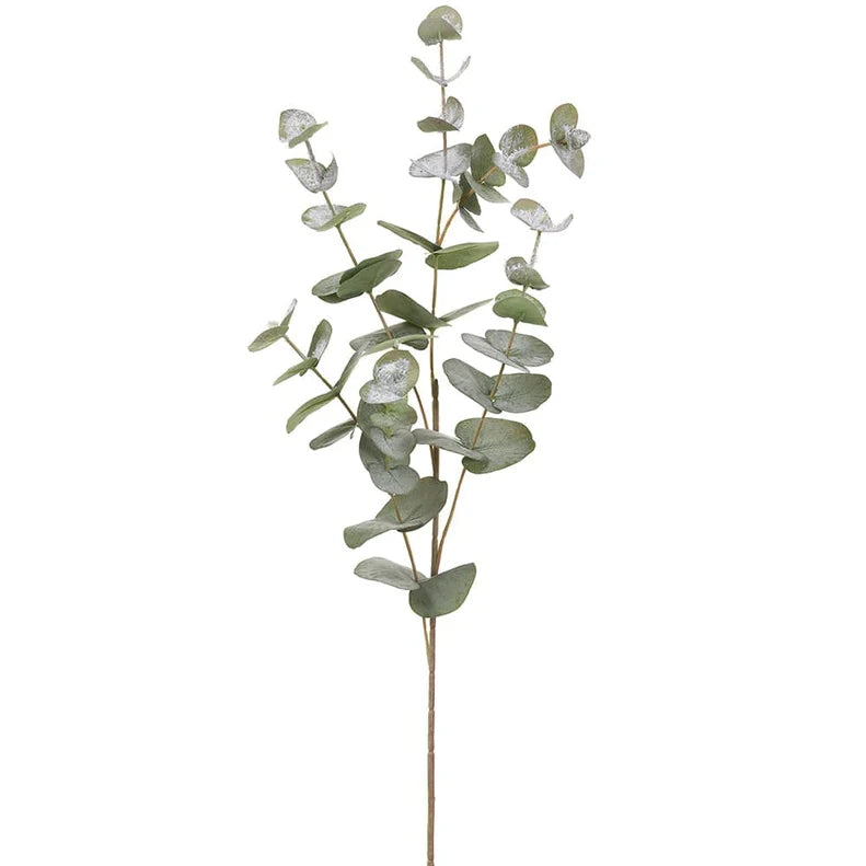 Snowed_Eucalyptus_Spray